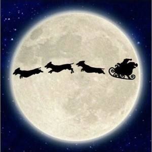 Meet your Posher, Stella